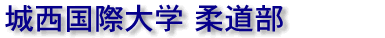 鐼ۑw _